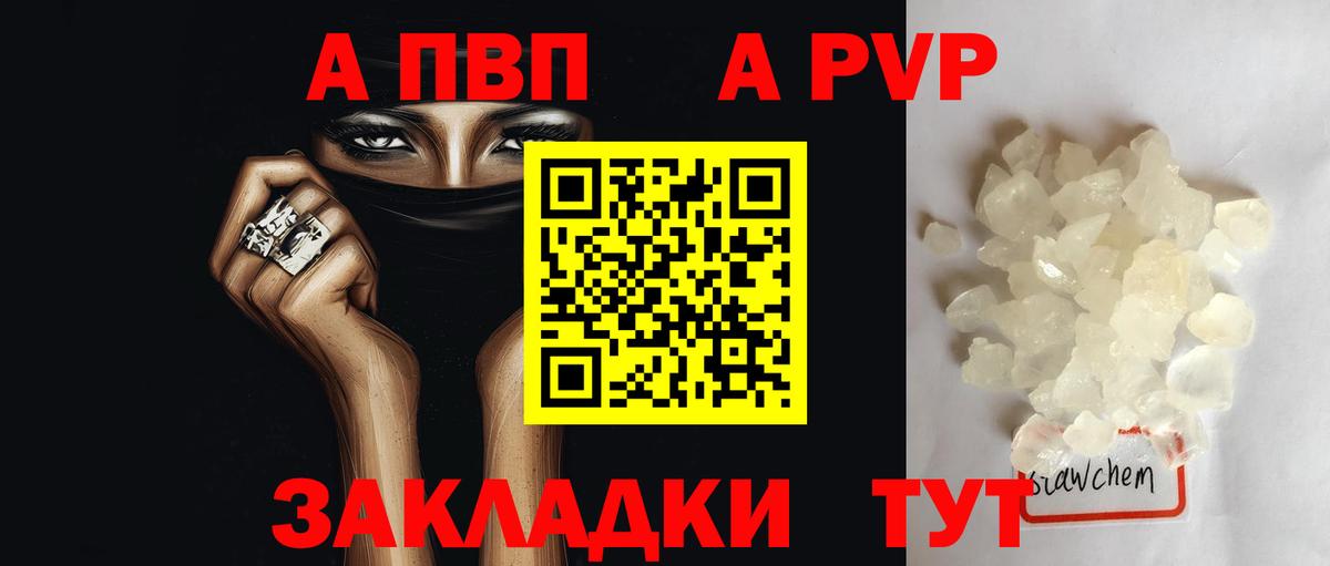 Альфа ПВП СК КРИС Элиста