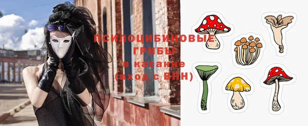 Альфа ПВП Кулебаки