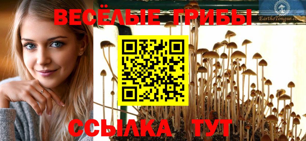 Псилоцибиновые грибы Cubensis  Галлюциногенные грибы Cubensis  Элиста  Вход с VPN 